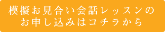 模擬お見合い会話レッスンのお申し込み